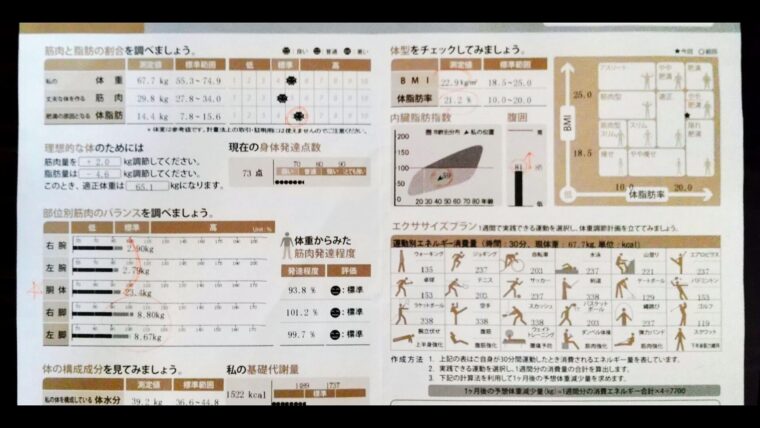 ジムに通う前のインボディ「やや肥満」